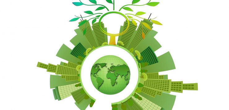 Duurzaam ondernemen voor een groenere wereld